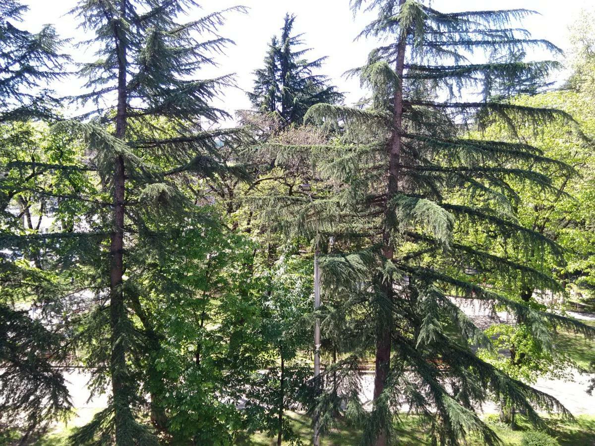 35 Paliashvili Kutaisi Luaran gambar